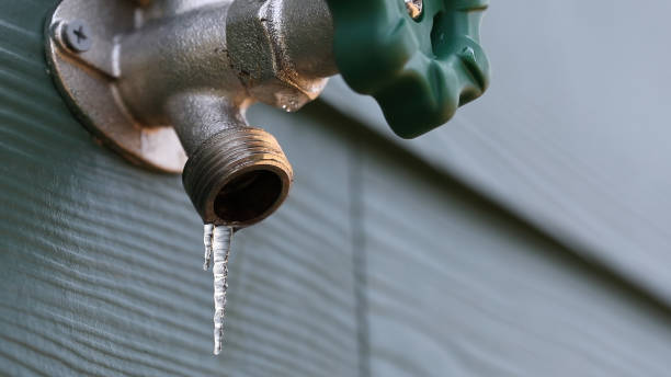 Best Emergency Plumbing Repair  in Thompsons Station, TN