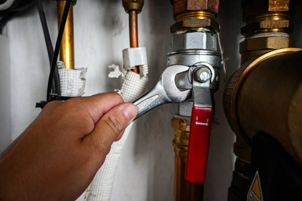 Best Affordable Plumbing Services  in Thompsons Station, TN